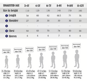 Girls' Dresses 4-10Y for party wedding holiday Short Sleeve beautiful design